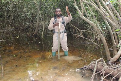 Praticien FECo en mission de suivi hydro-écologique dans une zone humide forestière