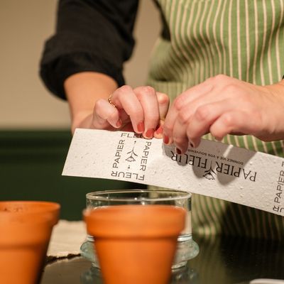 Déchirer délicatement le papier ensemencé à la main
