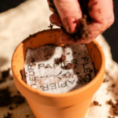 Recouvrir la carte d'un centimètre de terre
